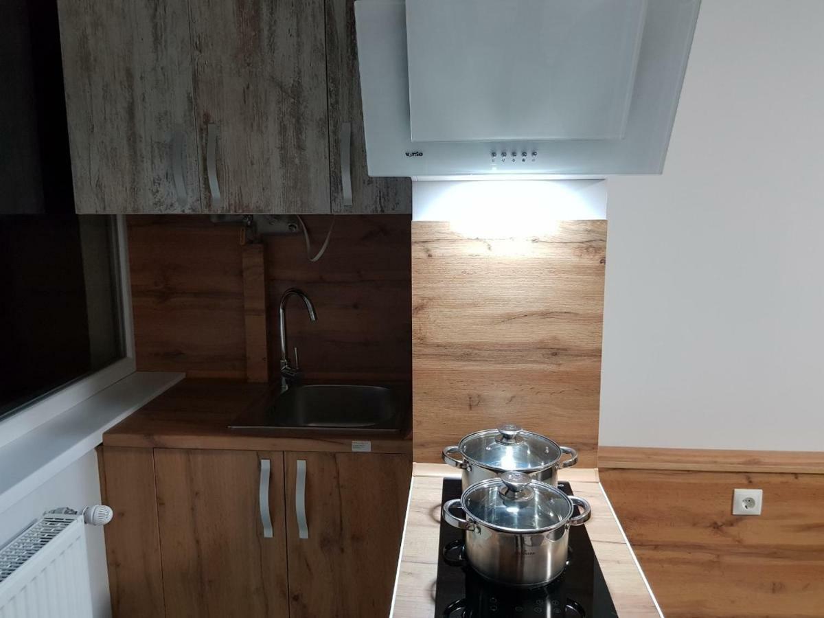 Silver Star Apartment 40B Ужгород Екстер'єр фото